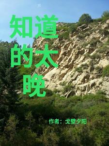 明白太晚知道太迟