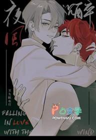 歌曲夜风