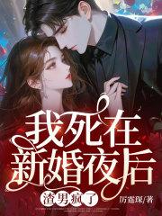 陆时宴顾菀青