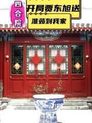 四合院开局坑死棒梗和贾
