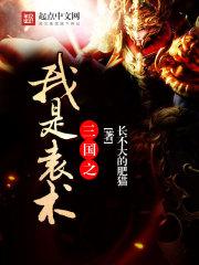 三国志战略版袁术