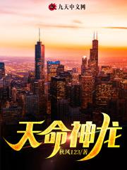 天命神龙全文免费阅读