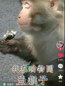 人变成猴子惊悚漫画