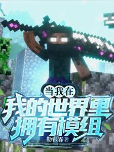 我的世界中的模组是什么意思