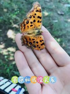 菩萨和佛有区别吗