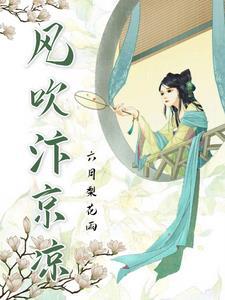 天龙八部风起汴京