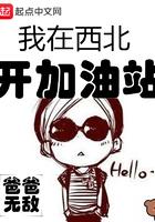 我在西北开加油站有声