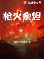 枪火讲的是什么意思