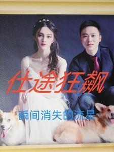 仕途狂飙从小警察开始的仕途路