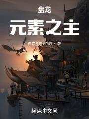 盘龙元素之主作者回忆是思念的秋丶