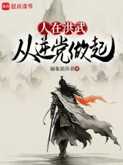 人在洪武从逆党做起无弹窗