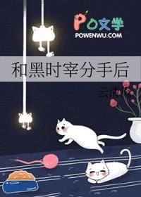 黑时宰语c需要注意什么