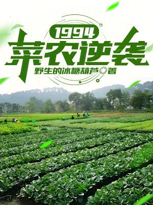 1994菜农逆袭TXT资源