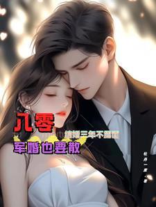 八零后军婚甜文