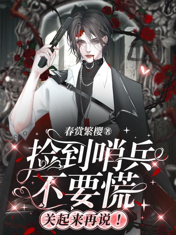 捡到兵不去会怎么样