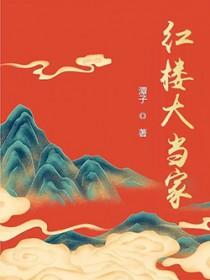 红楼梦同人文