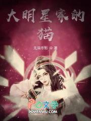 明星们养的猫