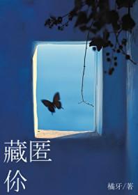 藏匿你txt全文免费阅读