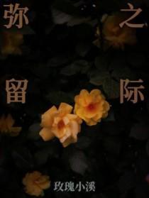 弥留之际是成语吗