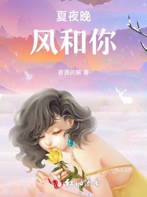 夏夜晚风和你歌词