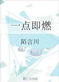 一点即燃全文阅读