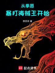 从拳愿暴打海贼王开始阅读