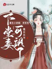 重生将军的小夫郎