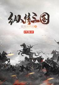 纵横三国