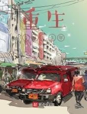 重生1983年夏冬