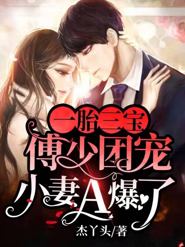 一胎双宝傅少宠妻超给力!