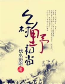 乡村野和尚 在线