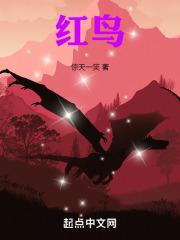 红鸟计划