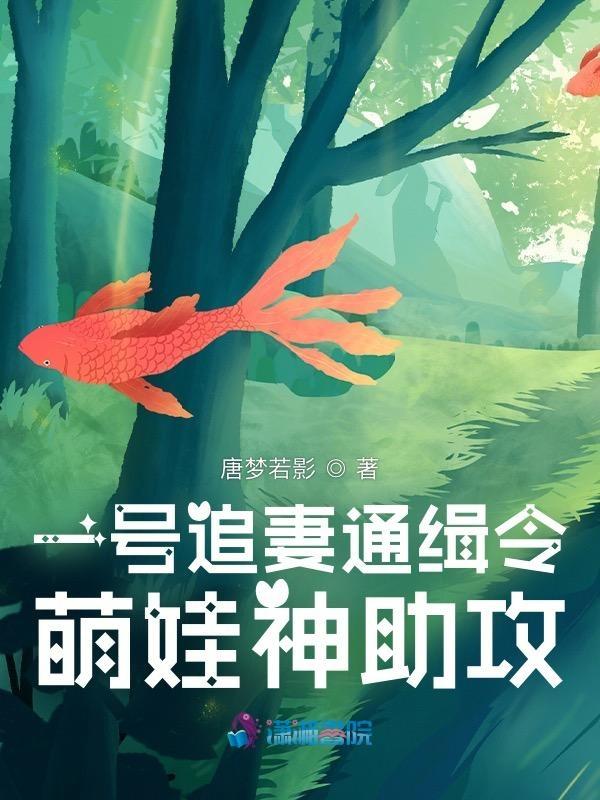 一号追妻令天才酷宝神秘妈