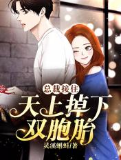 天上掉下双胞胎