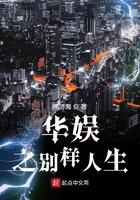 华娱之别样人生精校