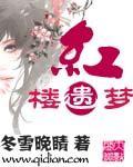红楼遗事书籍