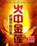 火中金莲笔趣